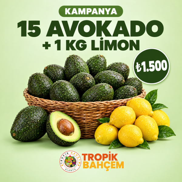 Avokado (250 gr+) & Limon Kampanya Seti – 15’li