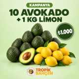Avokado (250 gr+) & Limon Kampanya Seti – 10’lu