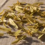 Ihlamur – 100 gr