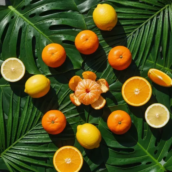 Mandalina