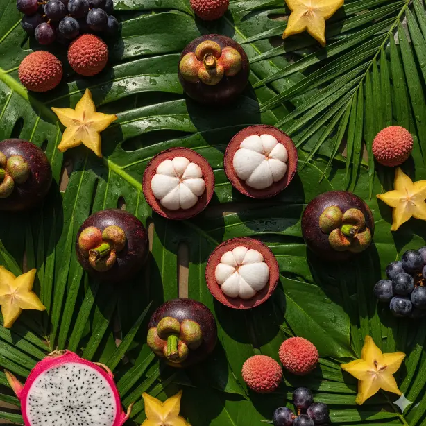 Mangosteen