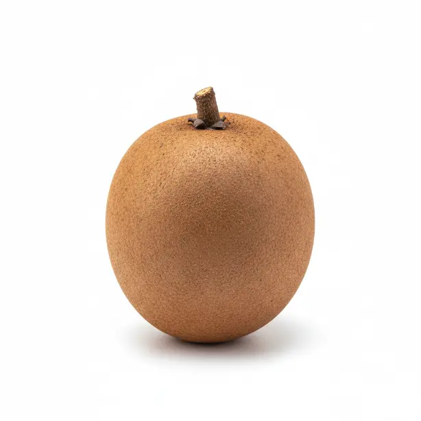 Sapodilla (Çiklet Meyvesi)