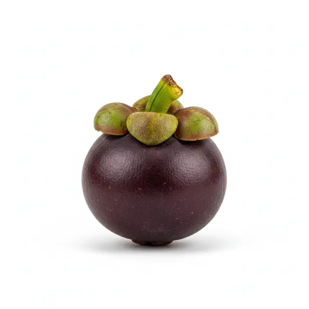 Mangosteen