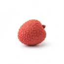 Litchi - Tropik Bahçem
