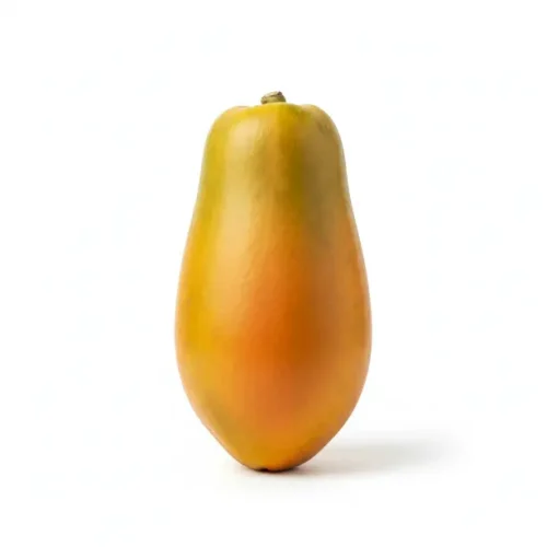 Papaya Adet - Tropik Bahçem